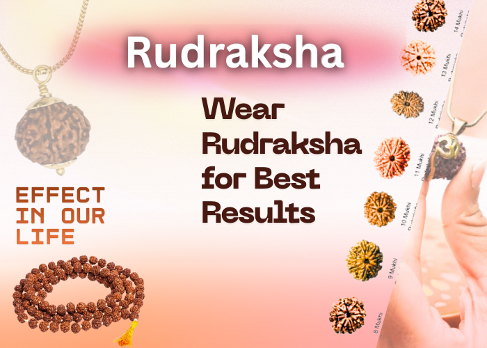  Rudraksha Effect in Our Life and How to Wear Rudraksha for Best Results
